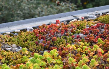 the cost of Kingswinford green roof installation