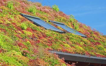 Kingswinford living roof systems